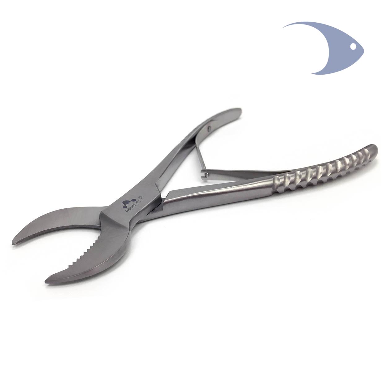 crescent coral cutter 2 crescent coral cutter - Imagen 2