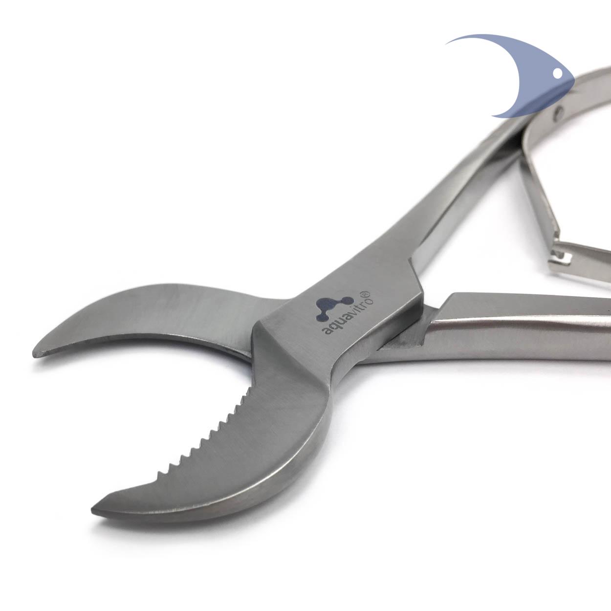 crescent coral cutter 3 crescent coral cutter - Imagen 3