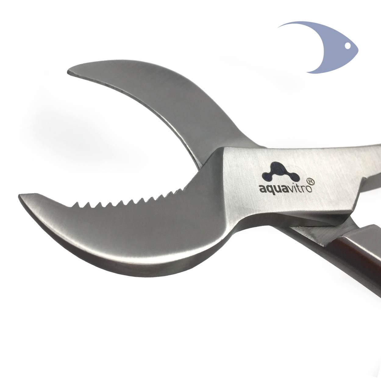 crescent coral cutter 5 crescent coral cutter - Imagen 5
