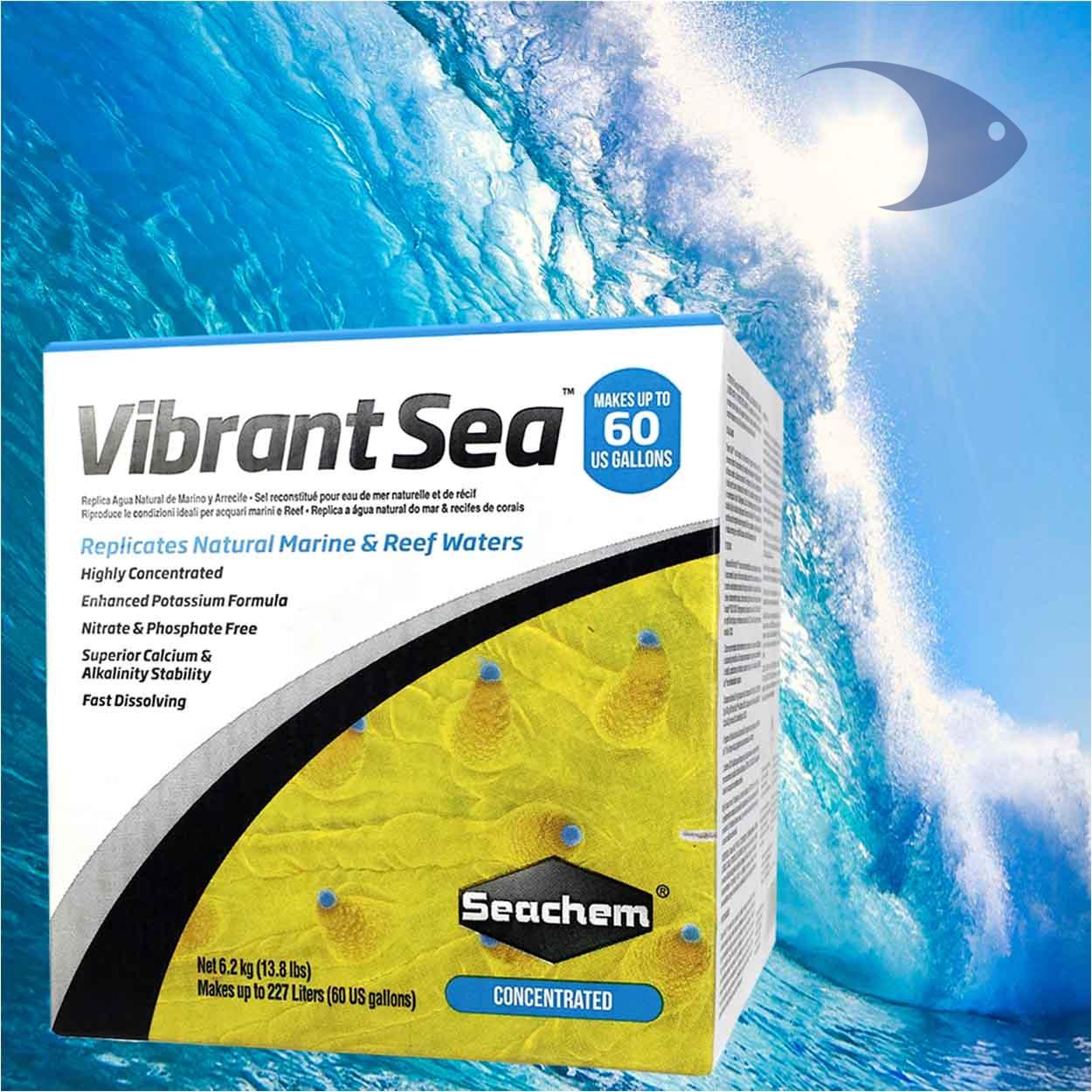 Vibrant Sea 2 Vibrant Sea - Imagen 2