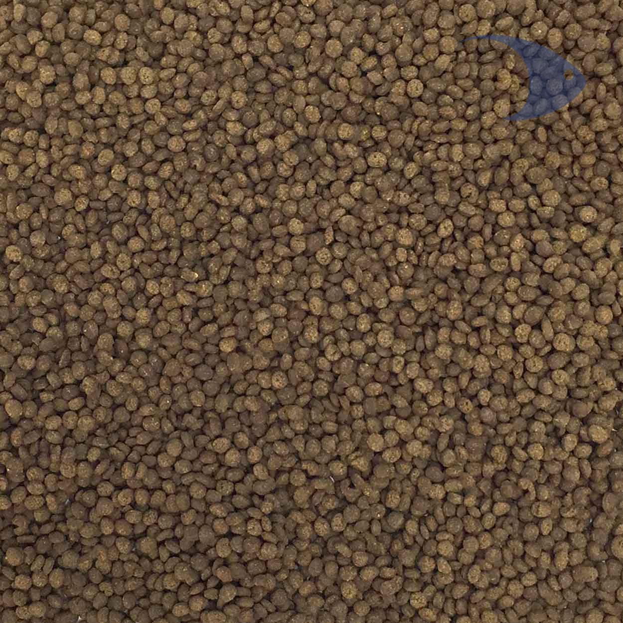 Delicias de camarón para peces marinos grandes 7 Delicias de camarón para peces marinos grandes - Imagen 7