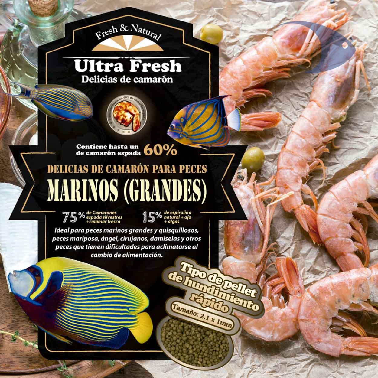 Delicias de camarón para peces marinos grandes 9 Delicias de camarón para peces marinos grandes - Imagen 9