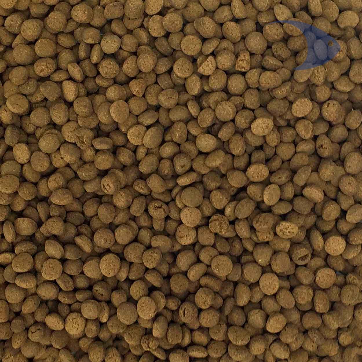 Pay de camarón para peces carnívoros 7 Pay de camarón para peces carnívoros - Imagen 7