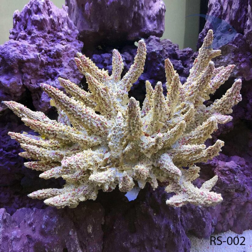 Corales artificiales BOYU
