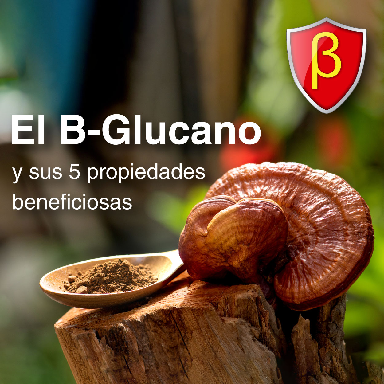 El B-Glucano y sus 5 propiedades beneficiosas