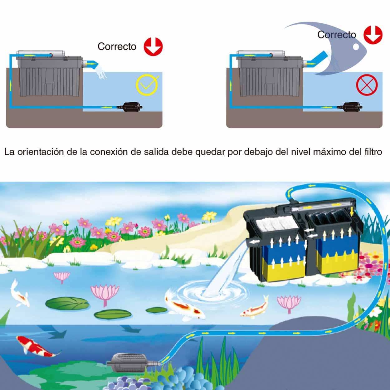 Filtros para estanques BOYU YT 13 Filtros para estanques BOYU YT - Imagen 13