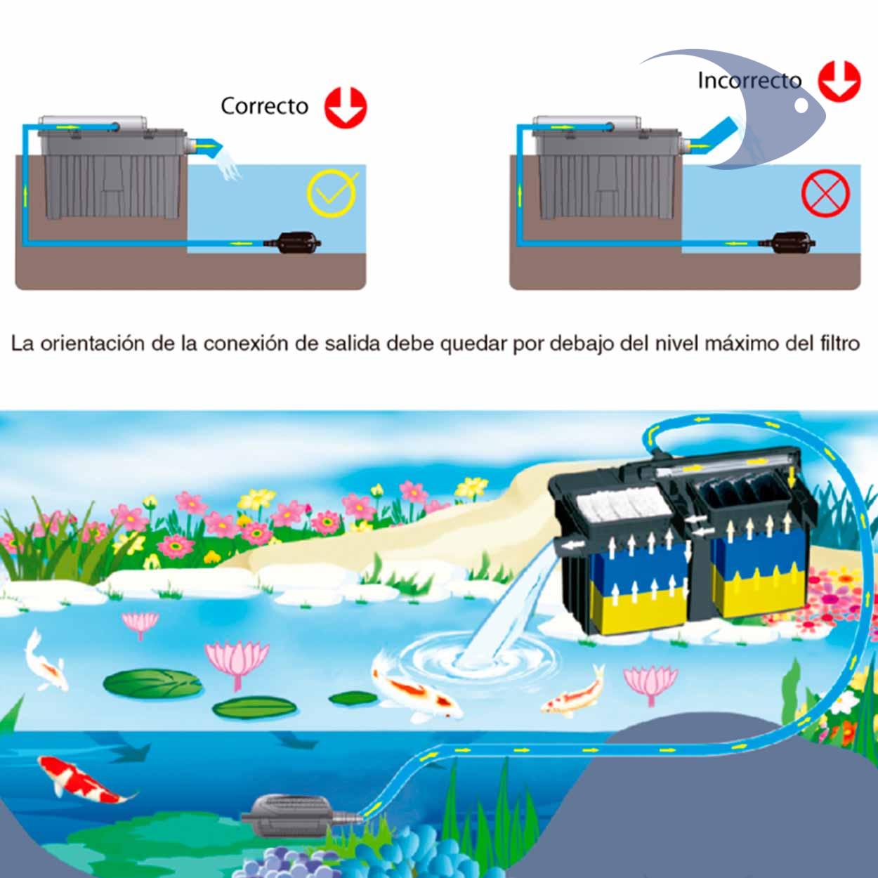 Filtros para estanques BOYU YT 12 Filtros para estanques BOYU YT - Imagen 12