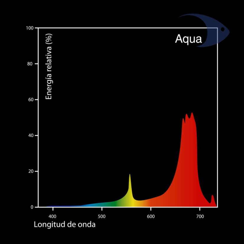 Focos fluorescentes DYMAX T5 HO Aqua