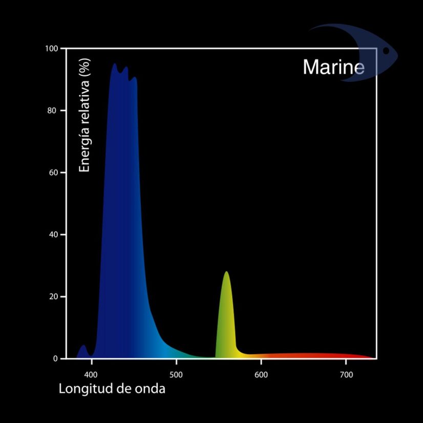 Focos fluorescentes DYMAX T5 HO Marine