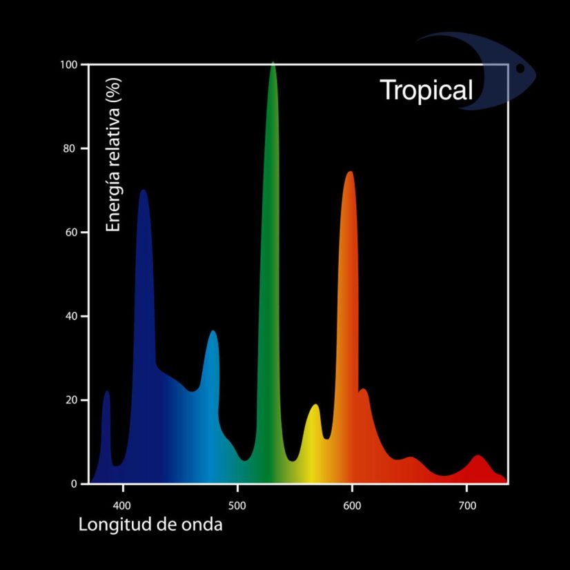 Focos fluorecentes DYMAX T5 Tropical