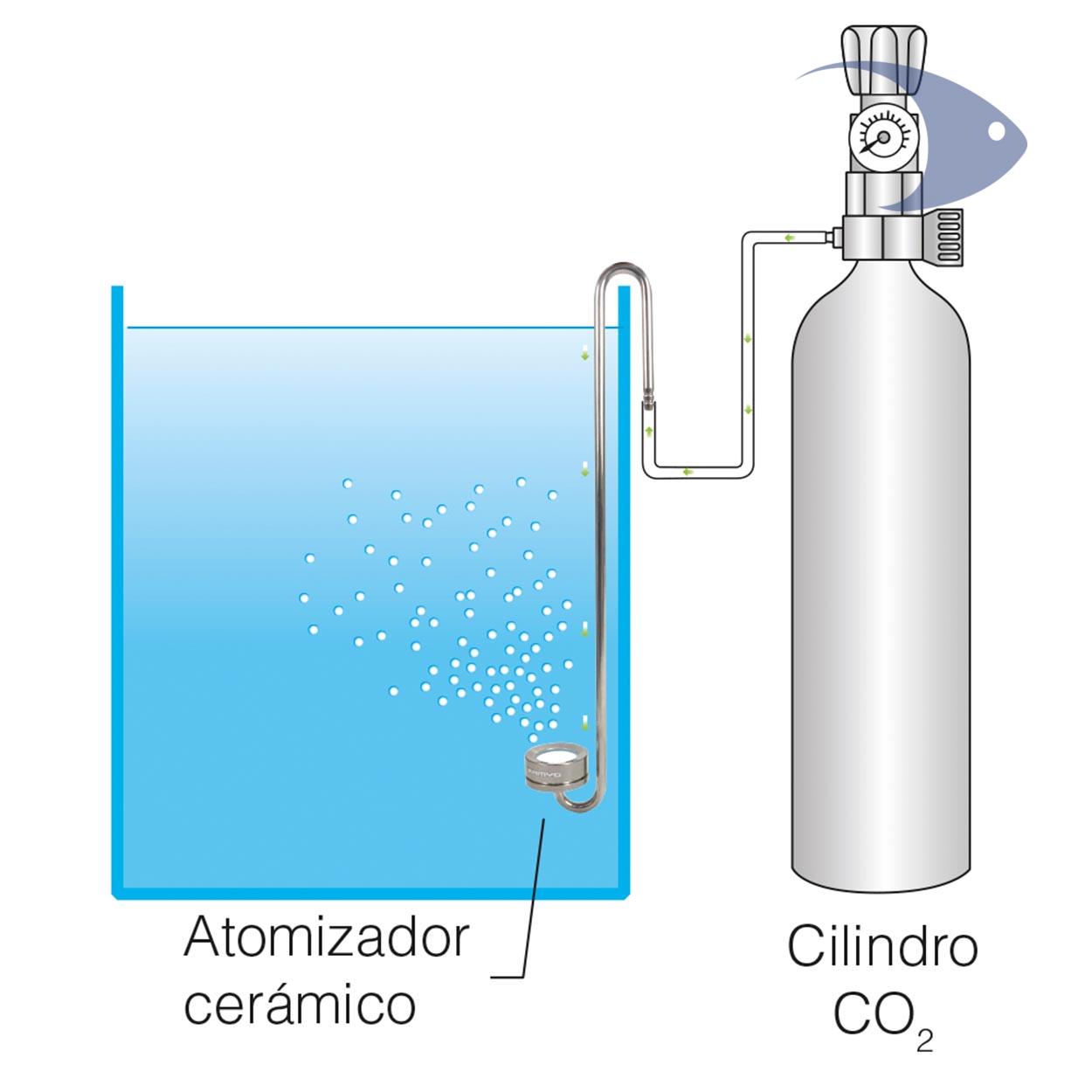 Difusores de acero inoxidable para CO2 DYMAX 9 Difusores de acero inoxidable para CO2 DYMAX - Imagen 9