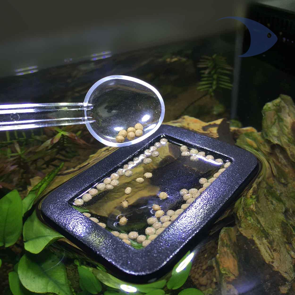 Arillos flotantes DYMAX para alimentación 4 Arillos flotantes DYMAX para alimentación - Imagen 4