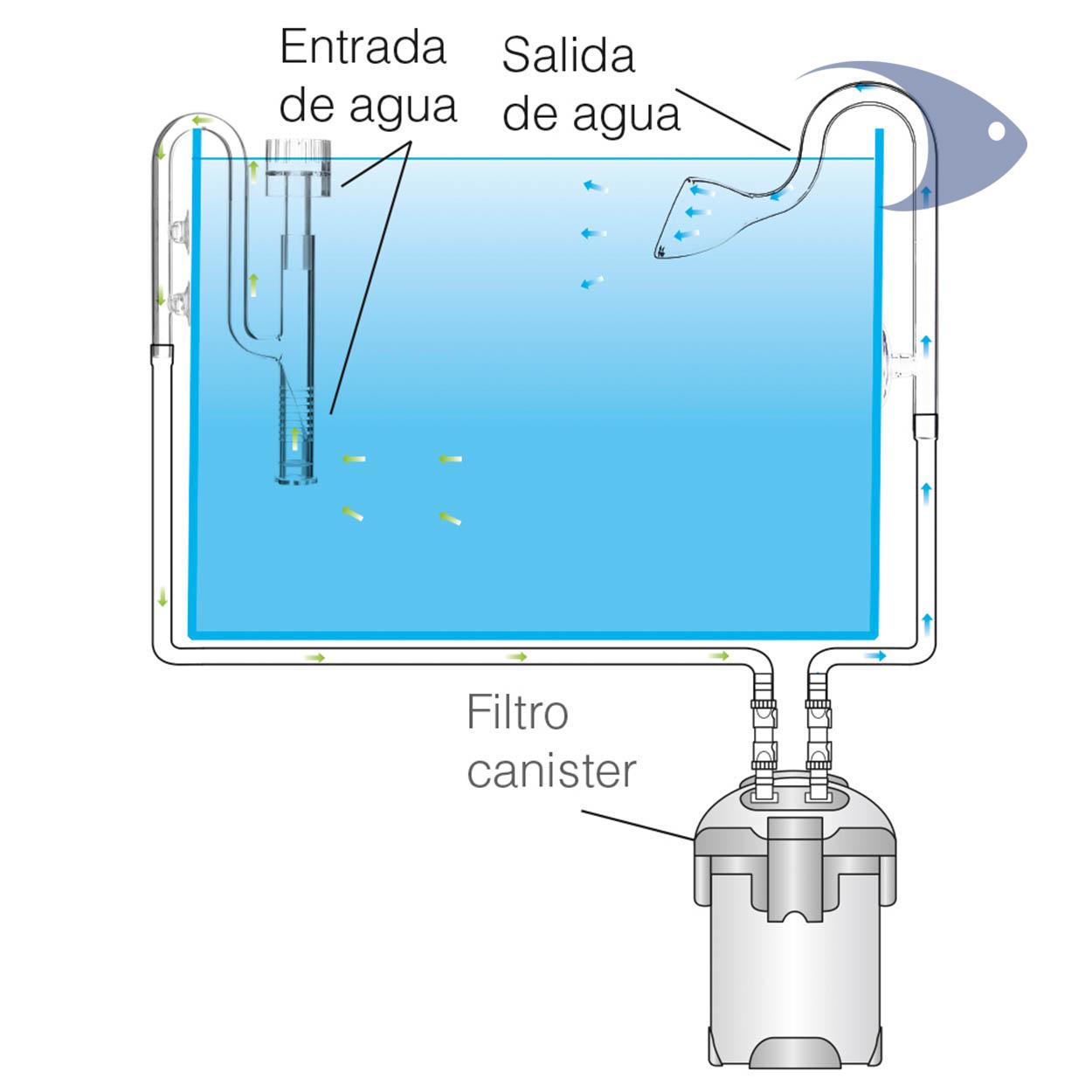 Lily Pipe de cristal curvado DYMAX 5 Lily Pipe de cristal curvado DYMAX - Imagen 5