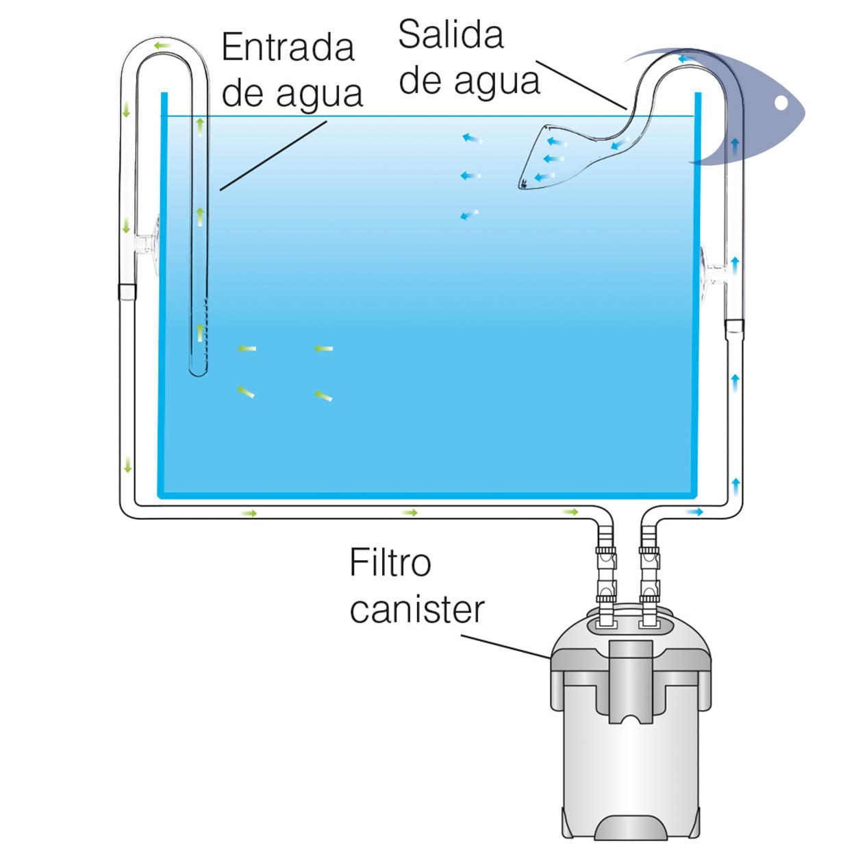Lily Pipe de cristal curvado DYMAX 6 Lily Pipe de cristal curvado DYMAX - Imagen 6