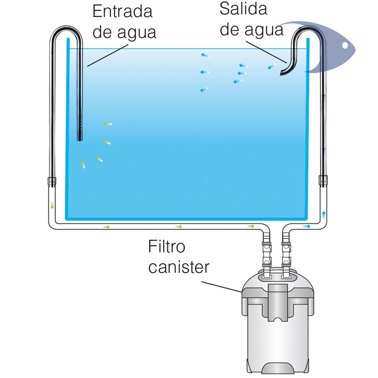 Lily Pipe de acero inoxidable DYMAX 6 Lily Pipe de acero inoxidable DYMAX - Imagen 6