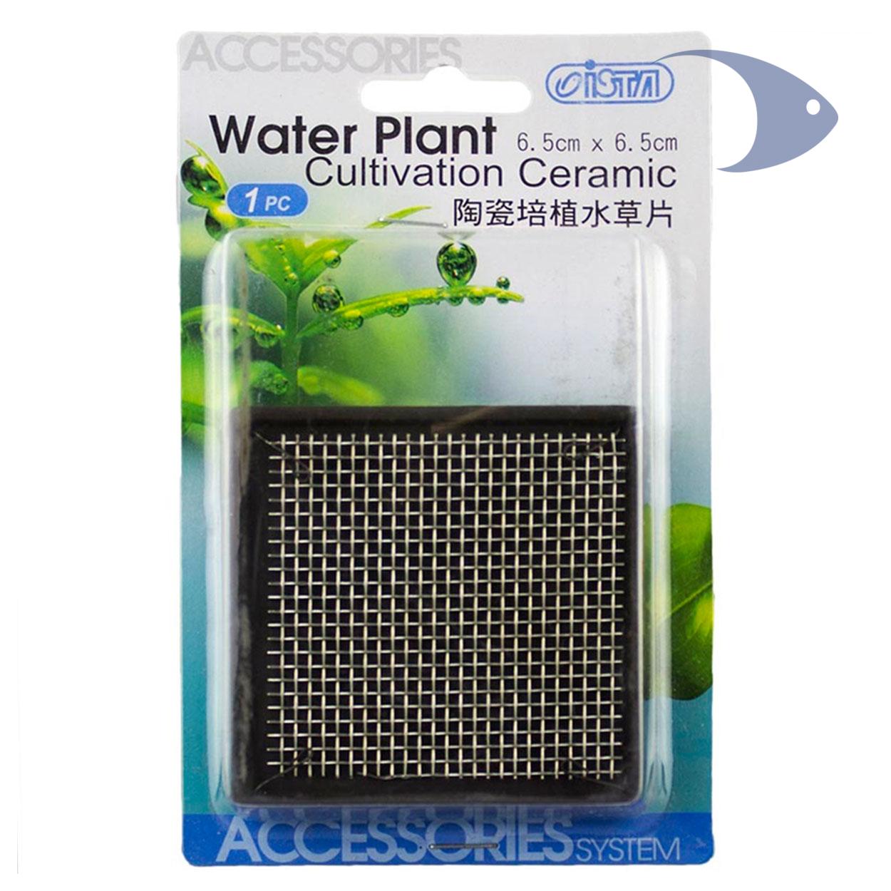 Bases cerámicas para cultivo de plantas 6 Bases cerámicas para cultivo de plantas - Imagen 6