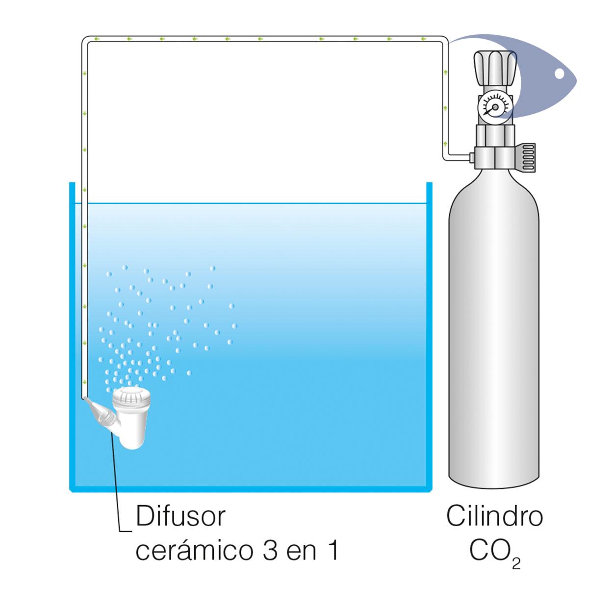 Difusores cerámicos 3 en 1 ISTA 4 Difusores cerámicos 3 en 1 ISTA - Imagen 4