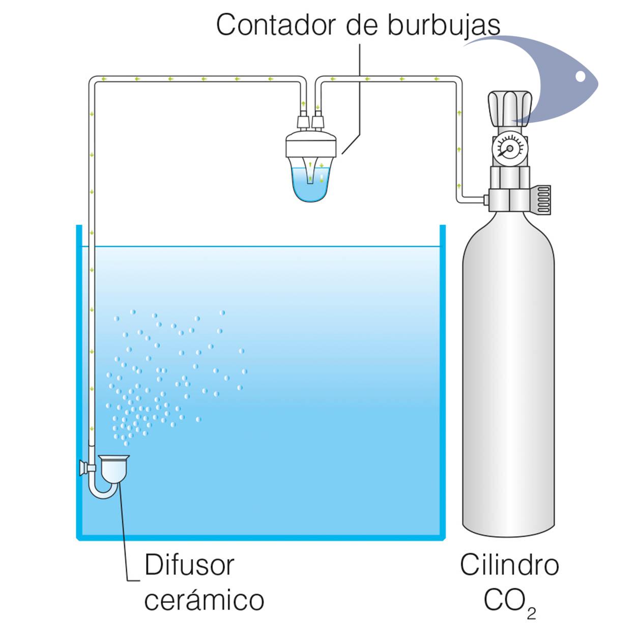 Contador de burbujas 2 en 1 ISTA 4 Contador de burbujas 2 en 1 ISTA - Imagen 4