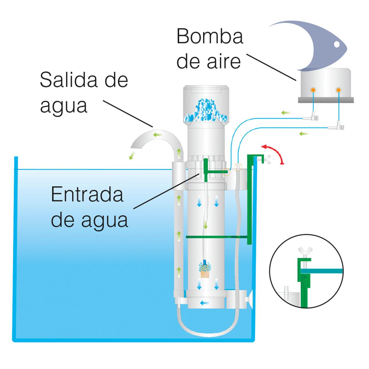 Espumador de proteínas ISTA 4 Espumador de proteínas ISTA - Imagen 4