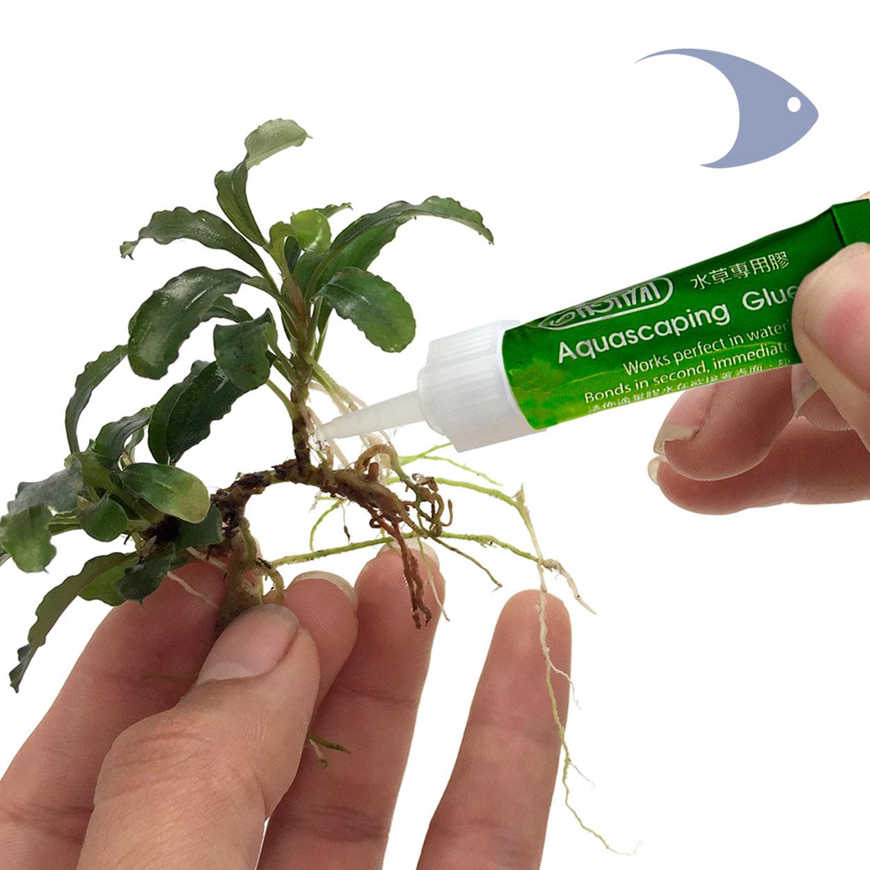 Aquascaping Glue ISTA para Acuarios Plantados 2 Aquascaping Glue ISTA para Acuarios Plantados - Imagen 2