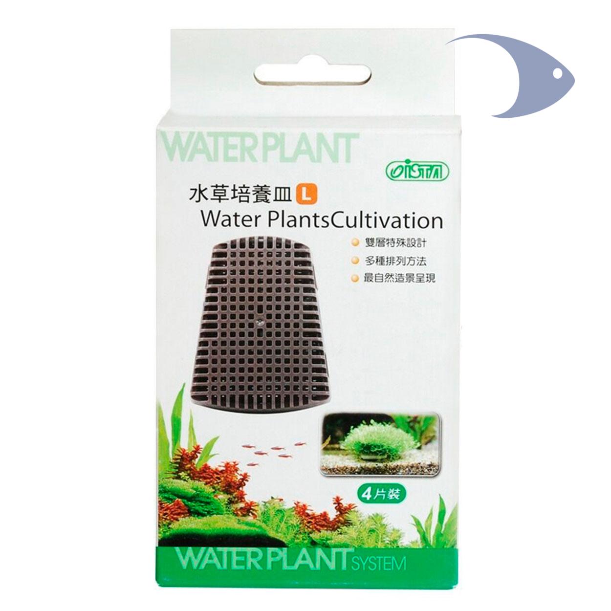 Bases plásticas para cultivo de plantas 2 Bases plásticas para cultivo de plantas - Imagen 2