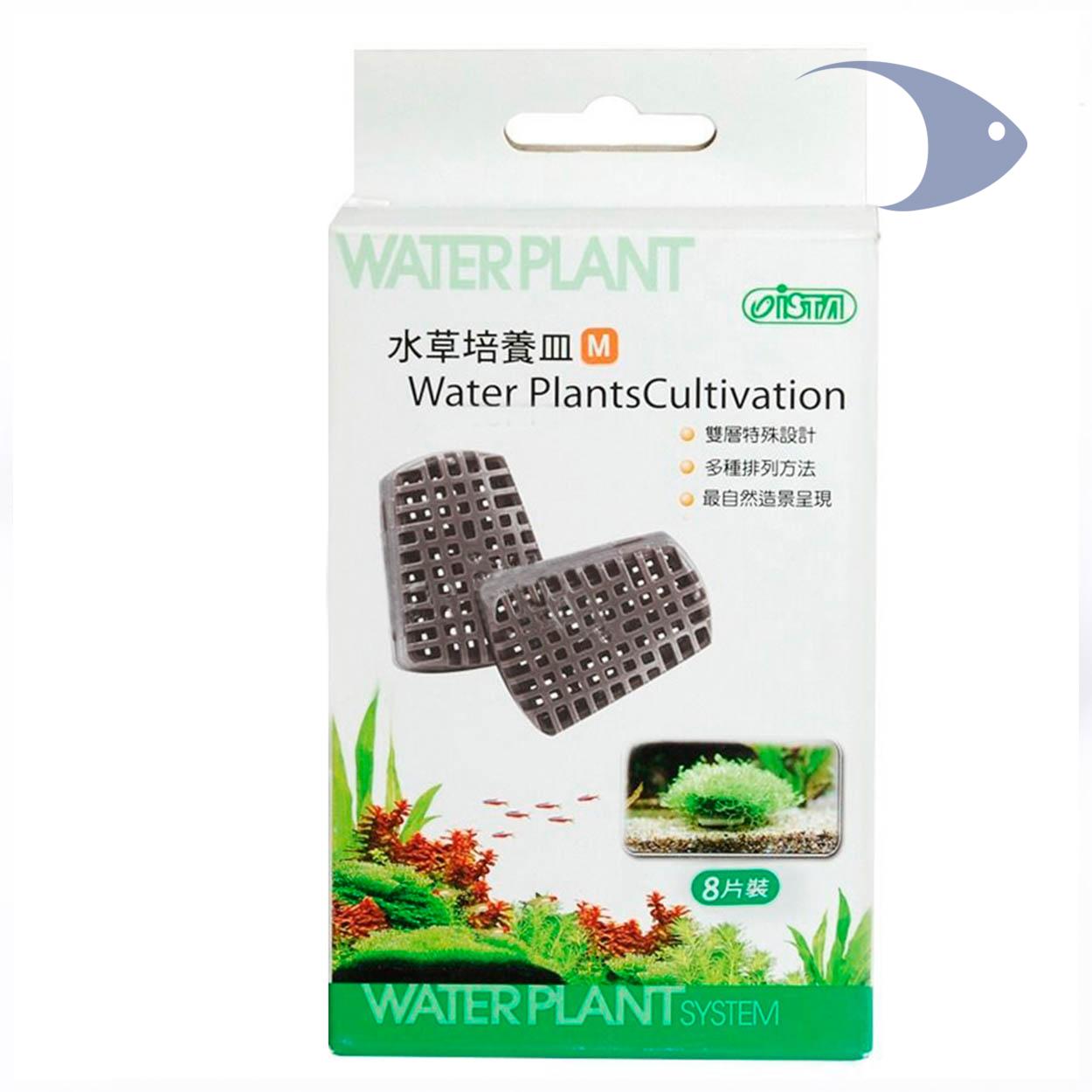 Bases plásticas para cultivo de plantas 5 Bases plásticas para cultivo de plantas - Imagen 5