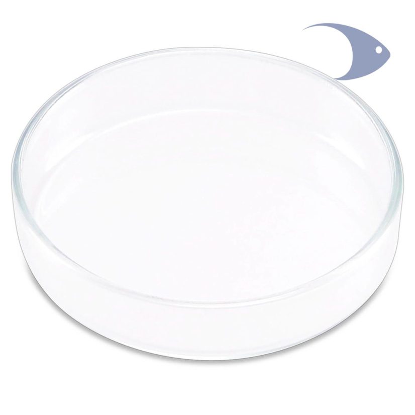 Plato de cristal para alimentación ISTA