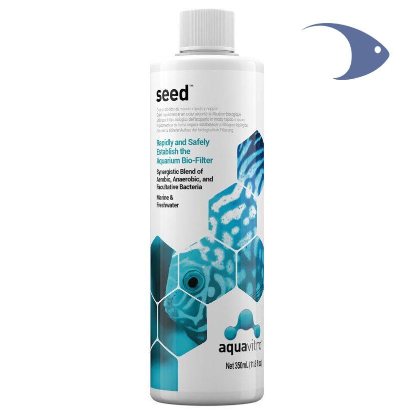 seed