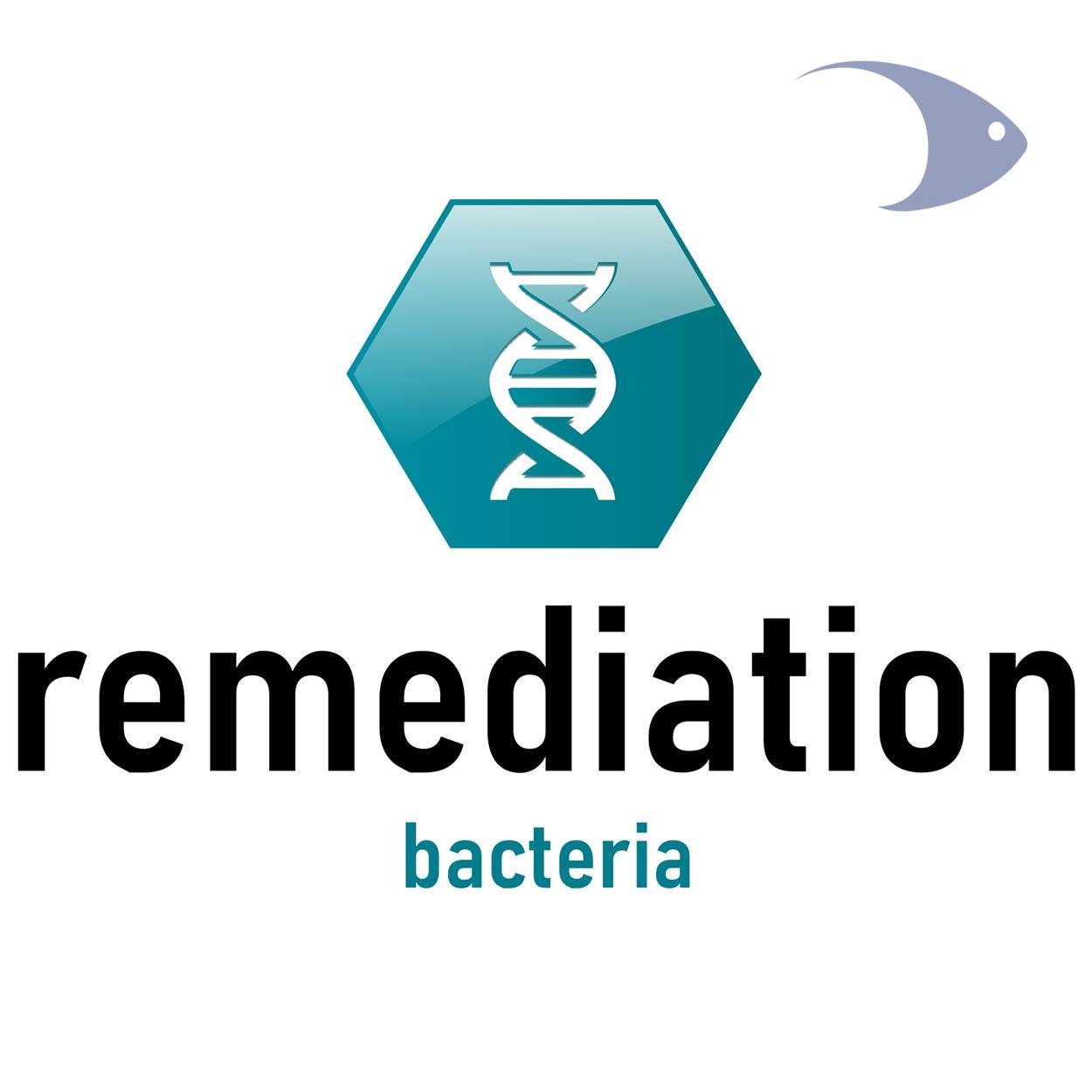 remediation 2 remediation - Imagen 2