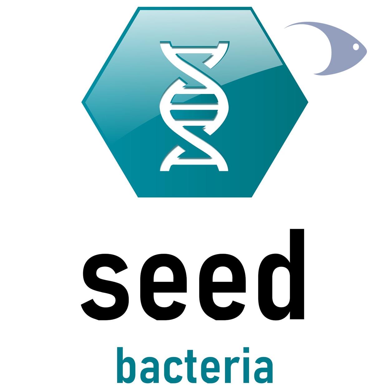 seed 2 seed - Imagen 2