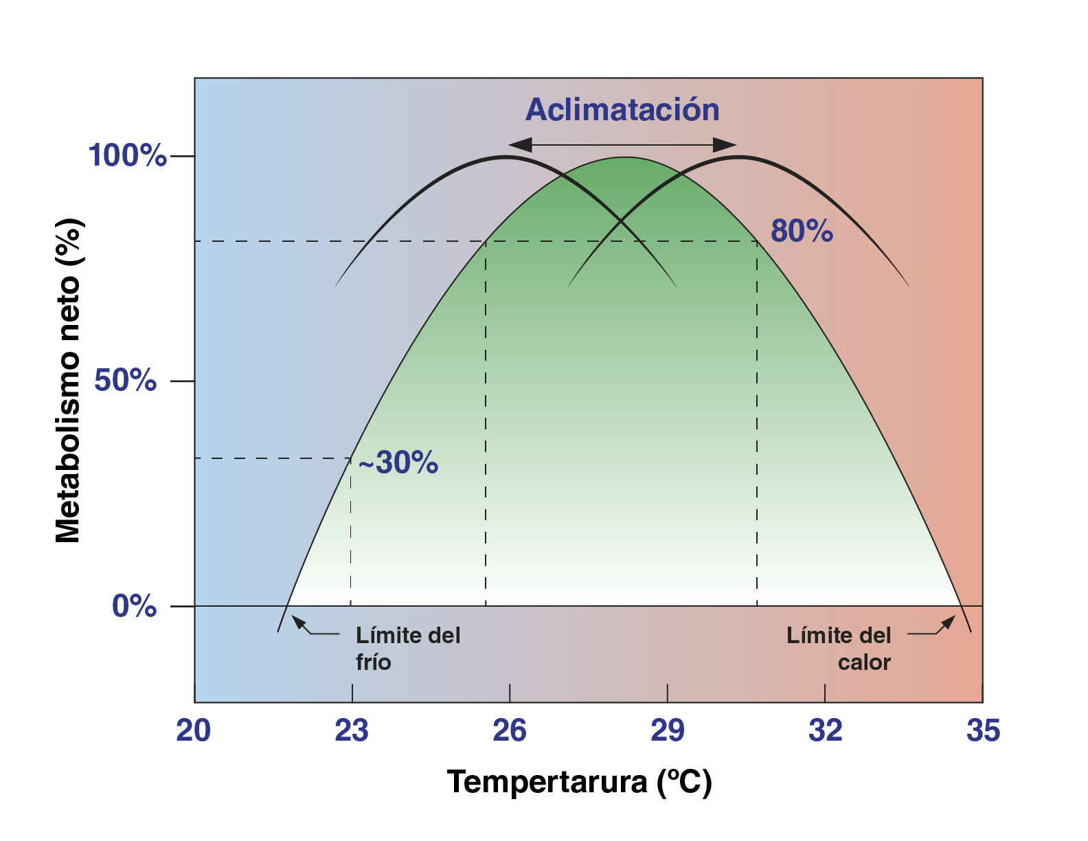 La temperatura en los acuarios: aclimatación