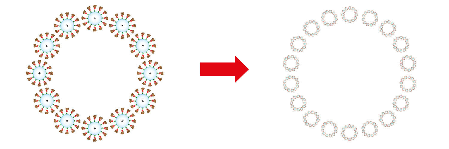 Proceso físico de coronación que da origen a la formación de espuma en un espumador de proteínas.
