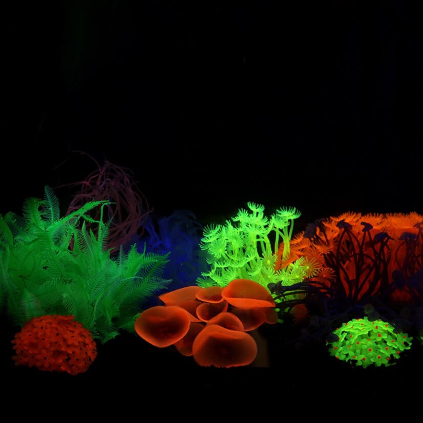 AZOO Decoración Corales Fluorescentes