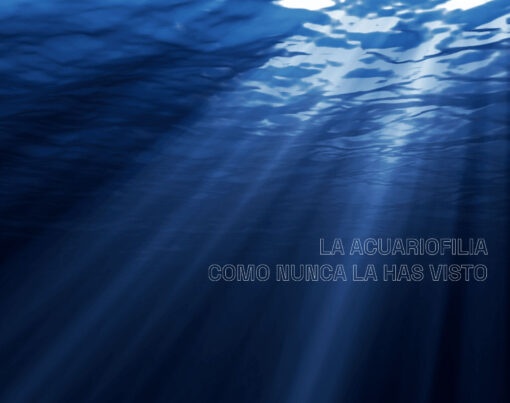 slide-ideas-marinas2