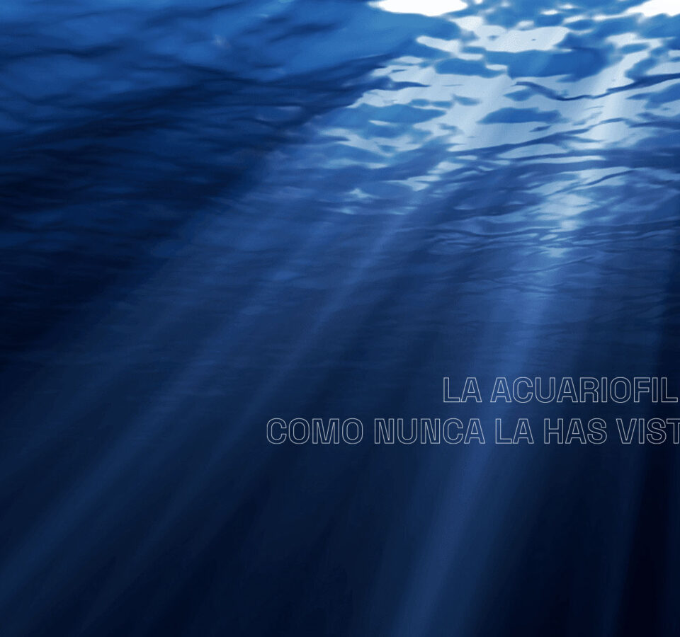slide-ideas-marinas2