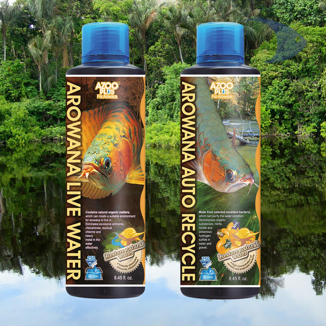 AZOO Plus Arowana Live Water 2 AZOO Plus Arowana Live Water - Imagen 2
