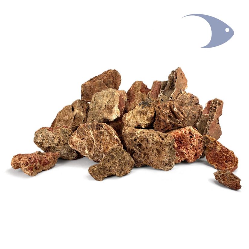Rocas decorativas naturales Hoja de Maple