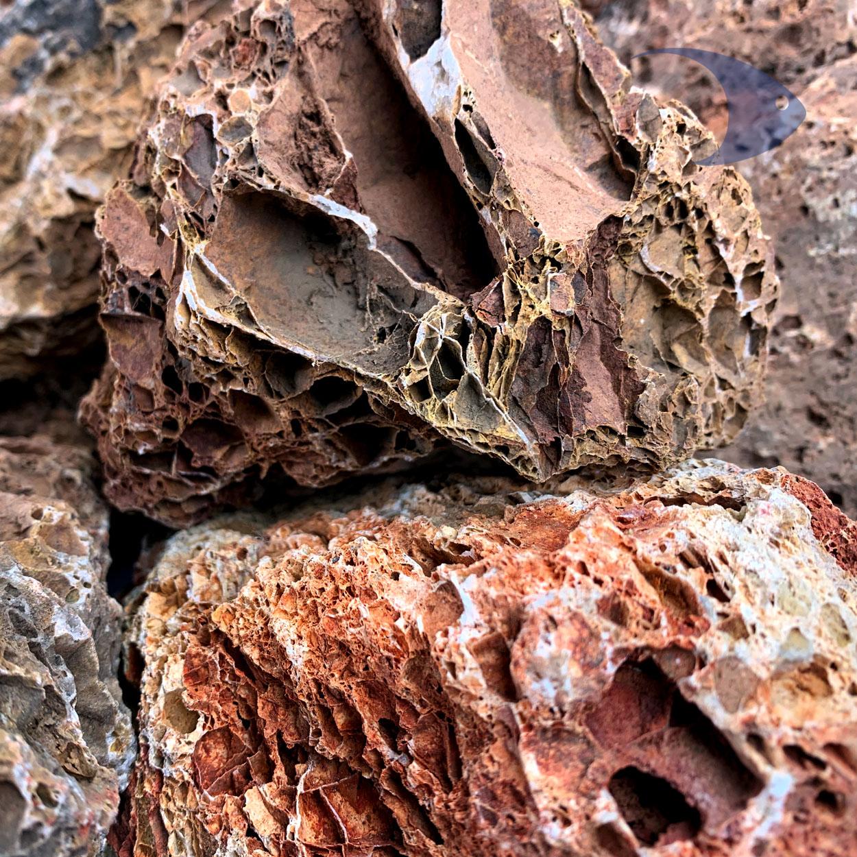 Rocas decorativas naturales Hoja de Maple 5 Rocas decorativas naturales Hoja de Maple - Imagen 5