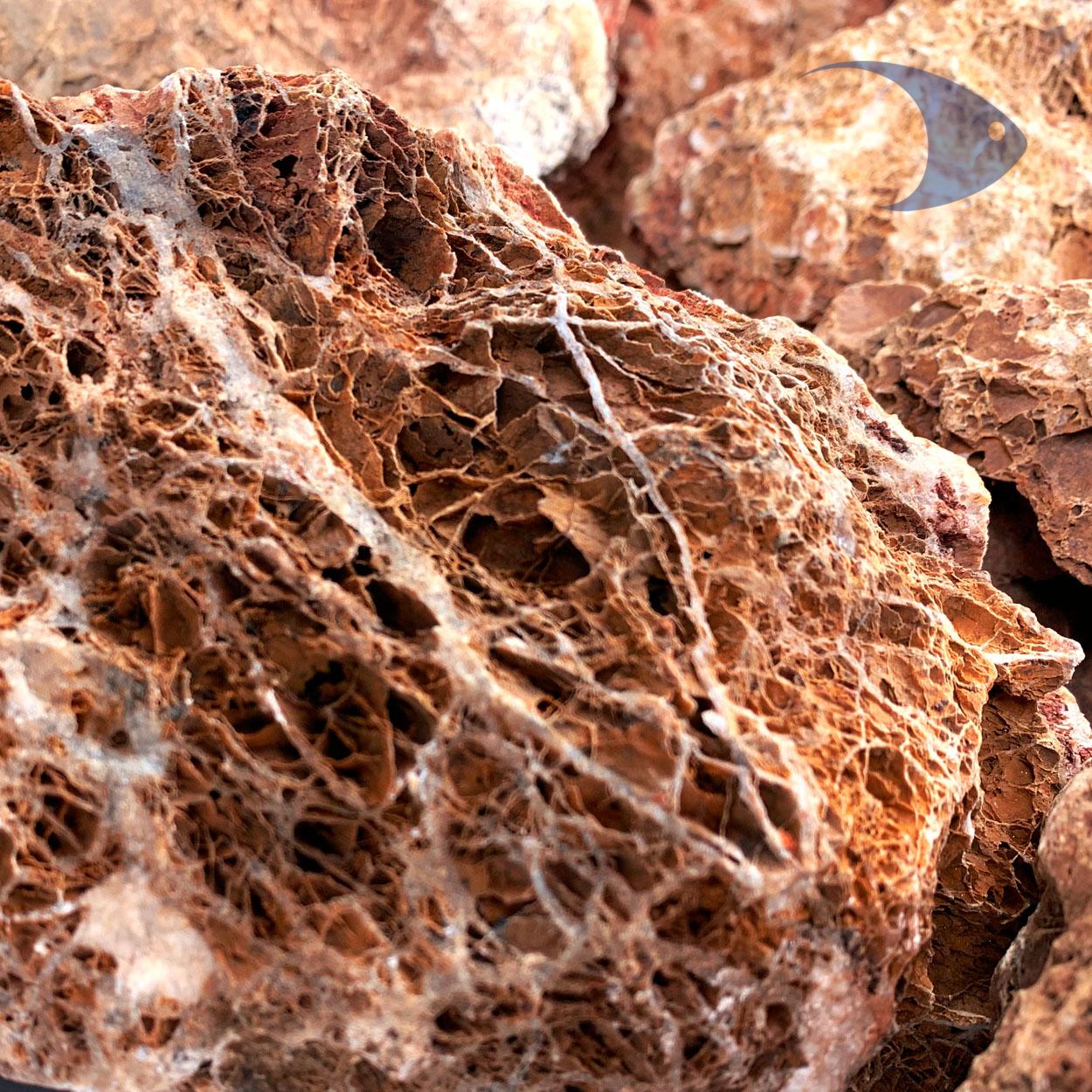 Rocas decorativas naturales Hoja de Maple 6 Rocas decorativas naturales Hoja de Maple - Imagen 6