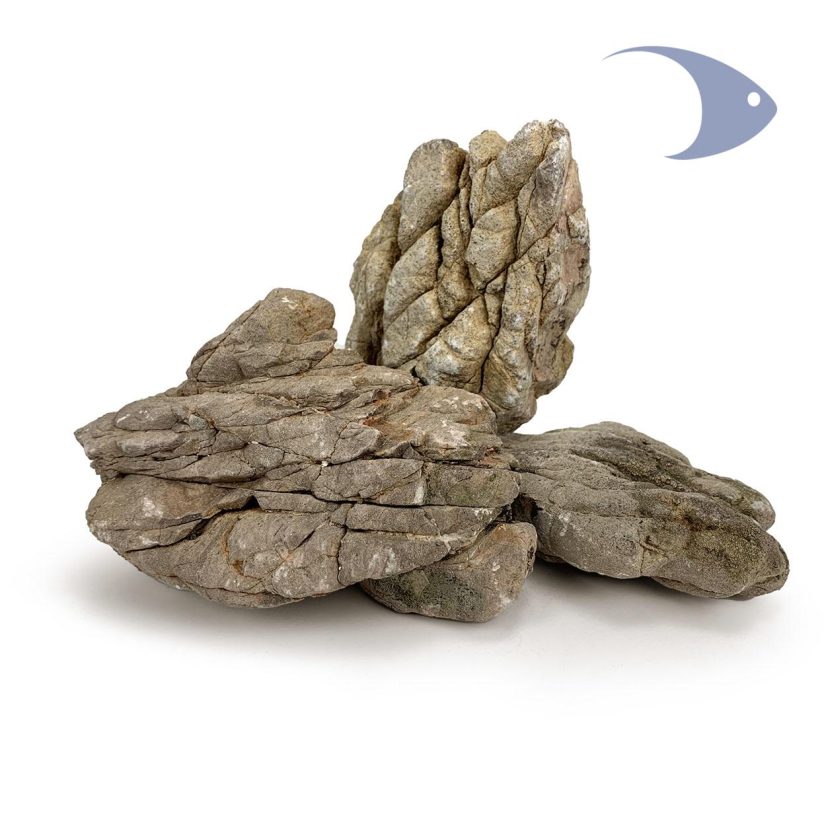 Rocas decorativas naturales Piel de Elefante