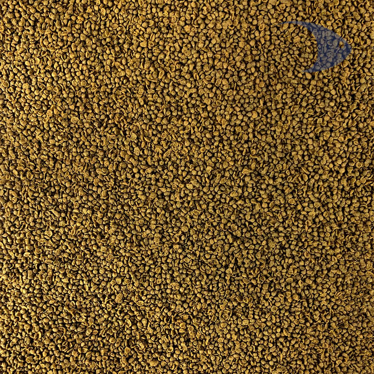 Delicias de camarón Betta Pro 6 Delicias de camarón Betta Pro - Imagen 6
