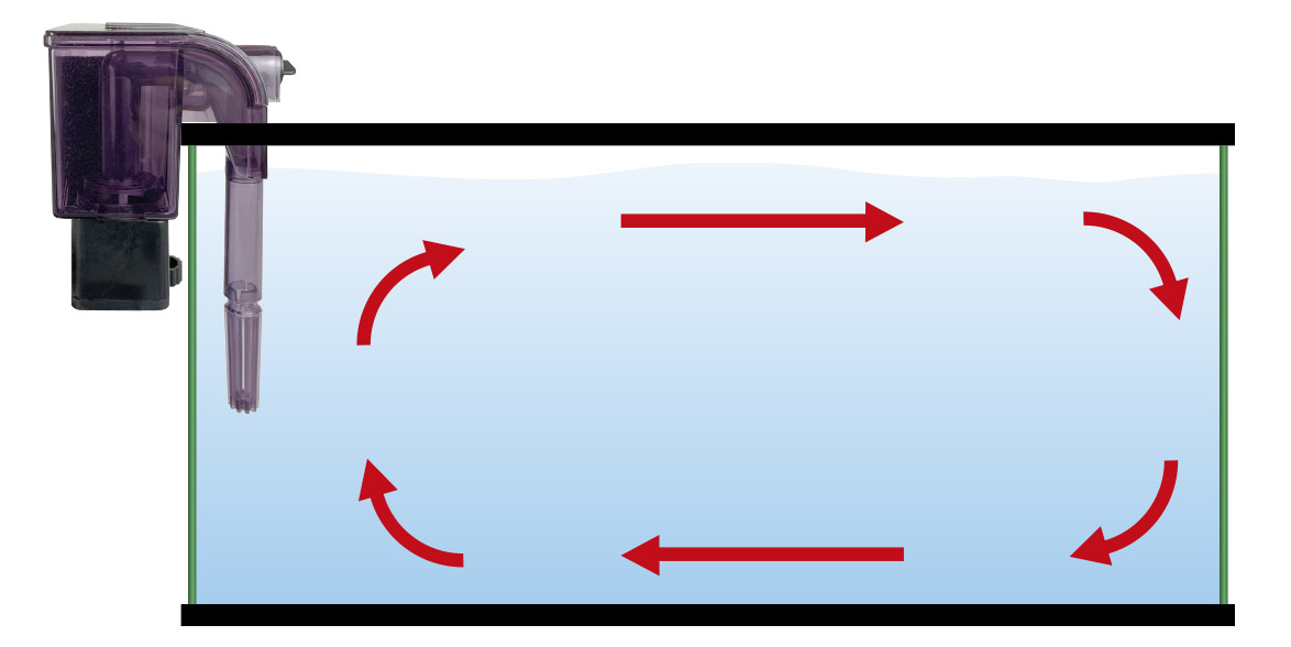 La oxigenación en los acuarios: diferentes métodos.
