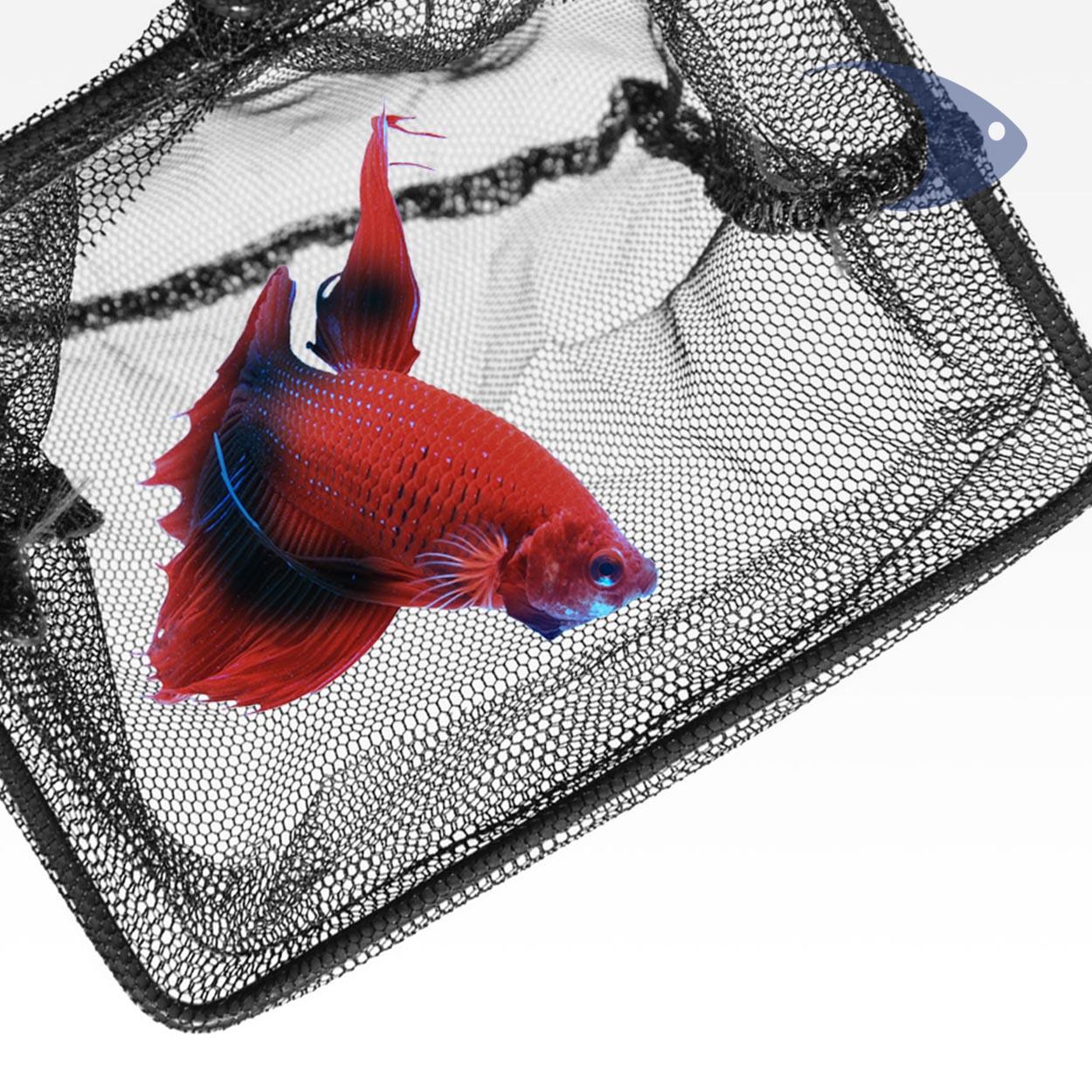 Seachem Fish Net 3 Seachem Fish Net - Imagen 3