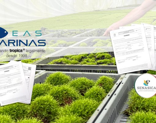 tropica-banner-_-legal3