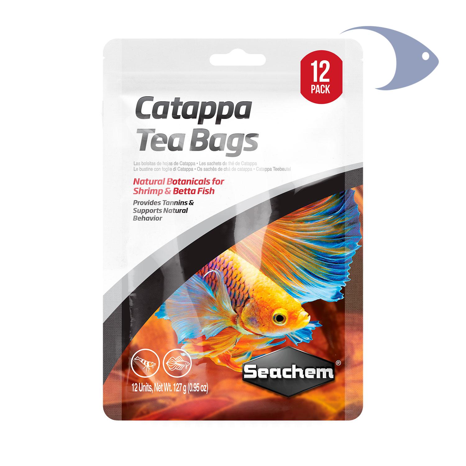 Hojas de Catappa 1 Hojas de Catappa