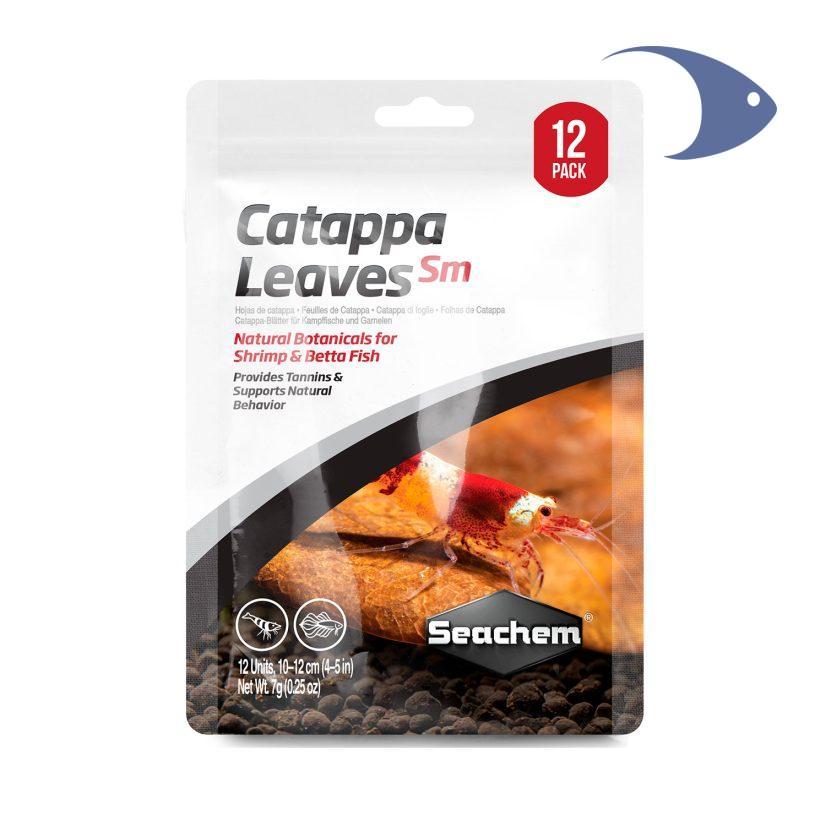 Hojas de Catappa - Imagen 2