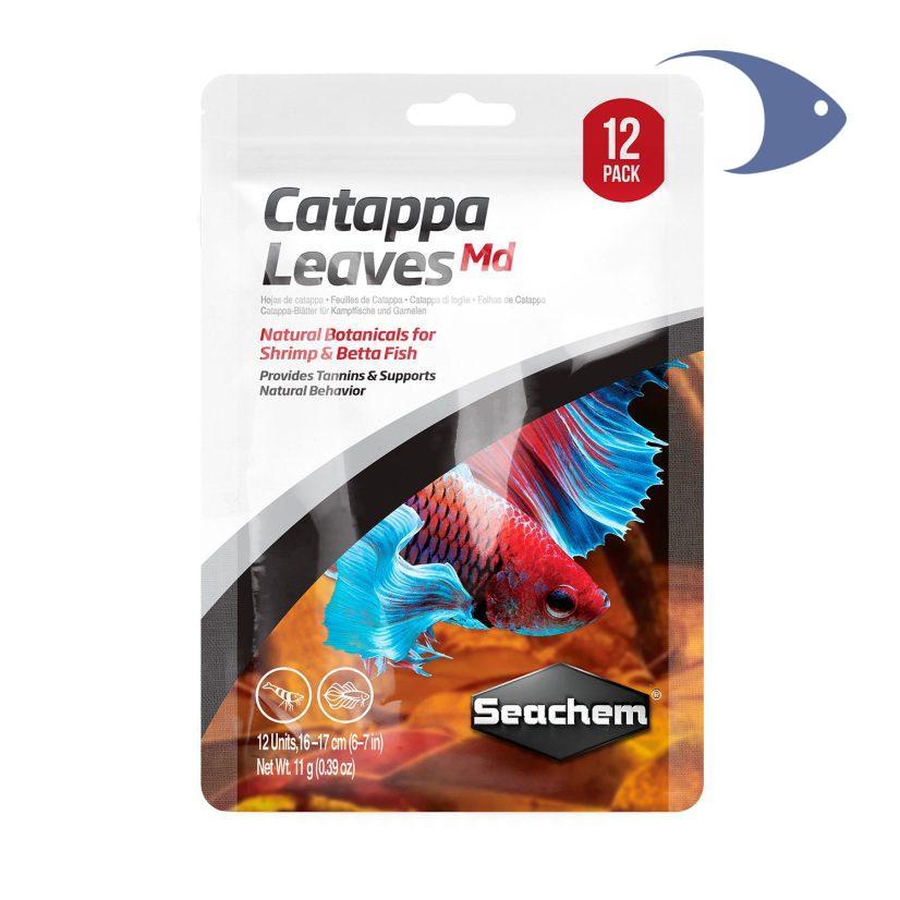 Hojas de Catappa - Imagen 3