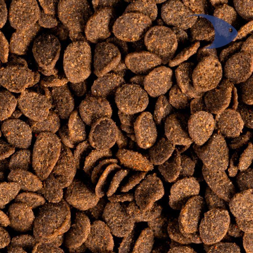 Apex Goldfish Pellet de crecimiento - Imagen 6