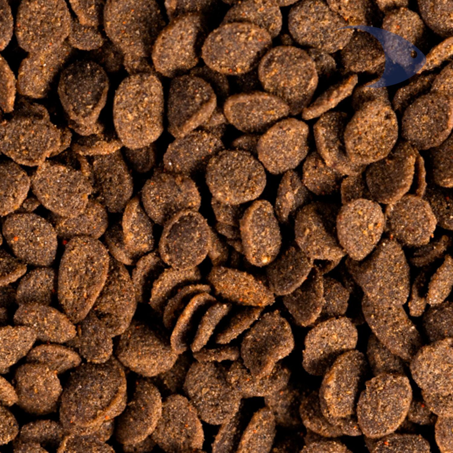 Apex Goldfish Pellet de crecimiento 6 Apex Goldfish Pellet de crecimiento - Imagen 6
