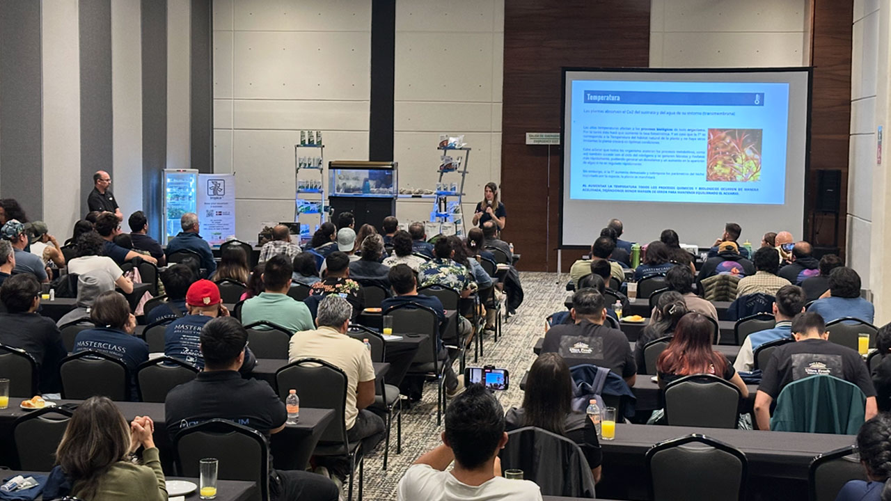 Presentación de Iara Parisi en el evento